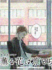 周末不打烊综艺热度卡片